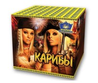 СУ403-49(2/1)Салютная установка 49-зар. Карибы