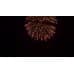 8" Brocade crown to red/green with blue pistil (6/1)